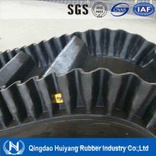 Chine Ep Rubber Conveyor Fournisseur Fournisseur